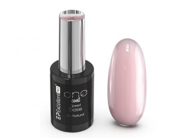 BAZA Excellent PRO One Coat...