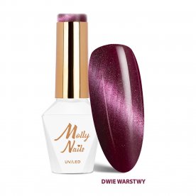 Lakier hybrydowy LED/UV Gel...