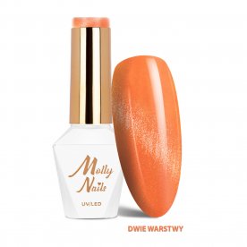 copy of Lakier hybrydowy...