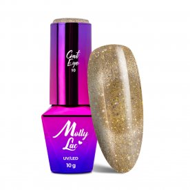 Magnetyczny lakier...