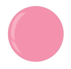 6a.jpg