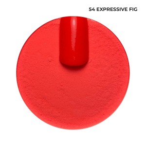 54a.jpg