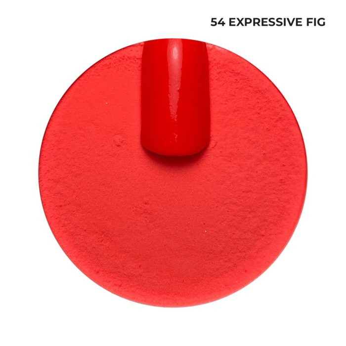 54a.jpg