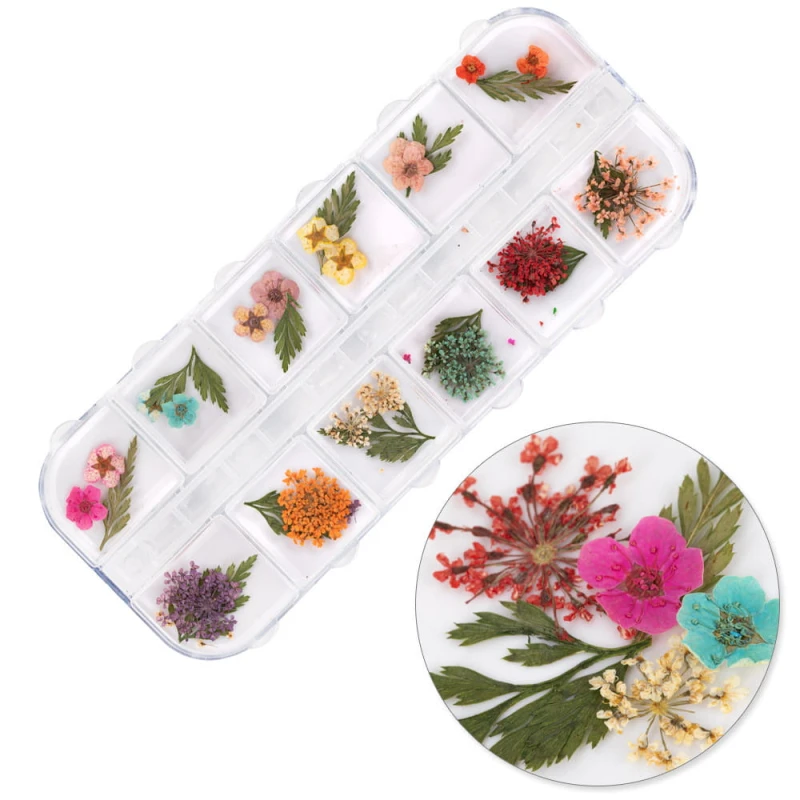 pol_pl_Suszone-kwiaty-do-zdobien-paznokci-w-kasetce-Molly-Nails-rodzaj-E-36szt-24049_1.jpg