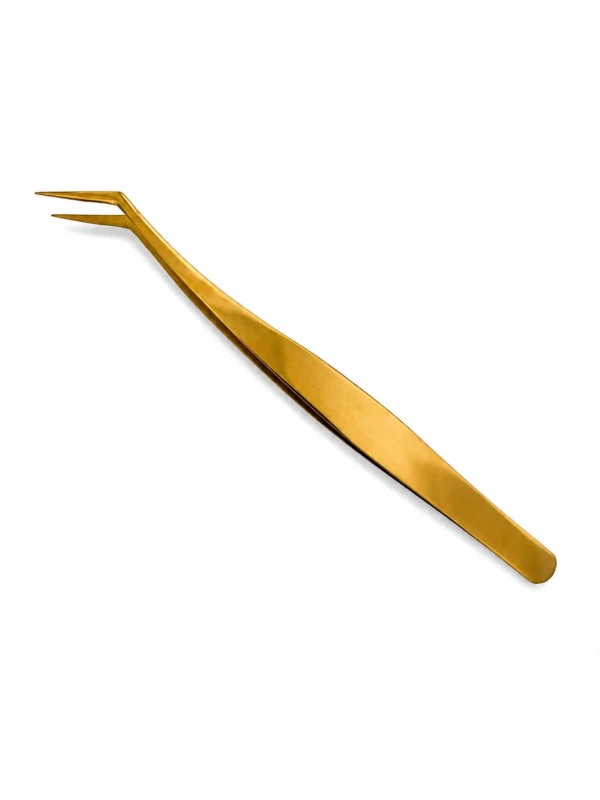 b3.jpg