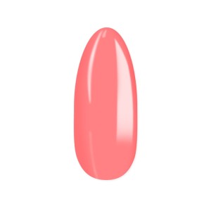 91305.jpg