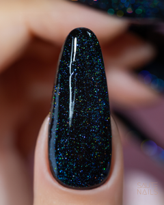 holo_flash_v3.png
