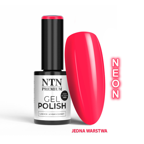 pol_pm_Lakier-hybrydowy-LED-UV-Gel-Polish-Reds-Nr-551-Limited-Edition-NTN-Premium-HEMA-Di-HEMA-Free-5g-31320_1.jpg