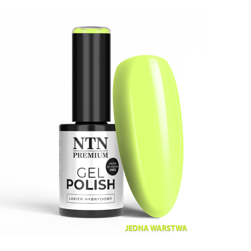 pol_pm_Lakier-hybrydowy-LED-UV-Gel-Polish-Greens-Nr-560-Limited-Edition-NTN-Premium-HEMA-Di-HEMA-Free-5g-31326_1.jpg