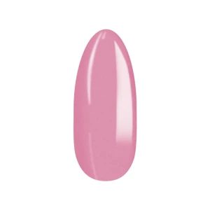 81505.webp
